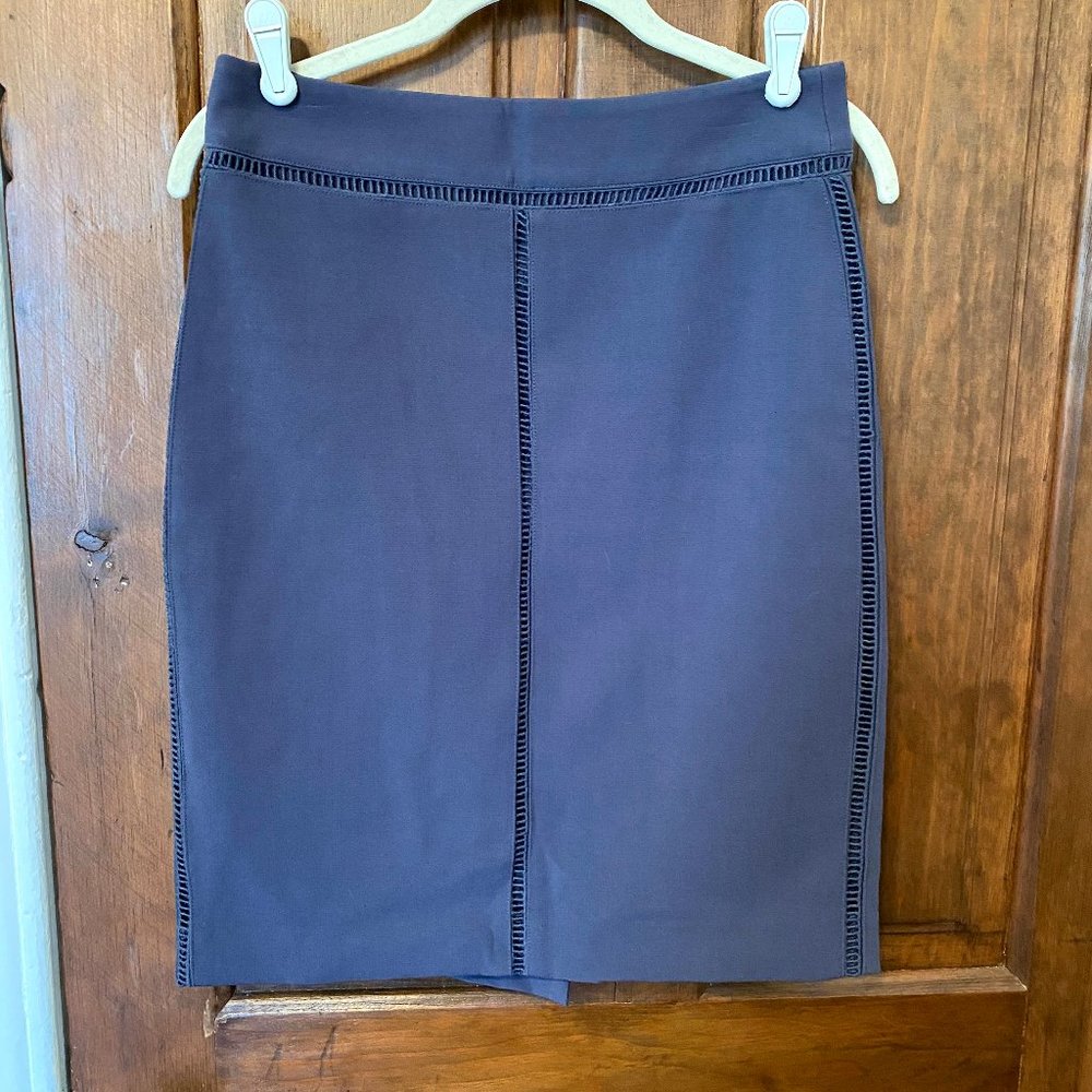 Ann Taylor Pencil Skirt
